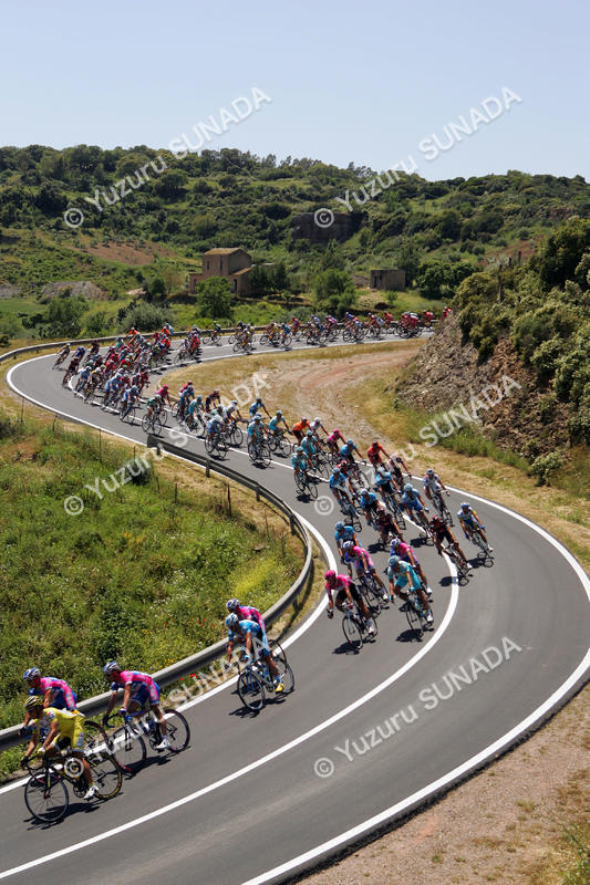 Peloton at S curve004p.jpg
